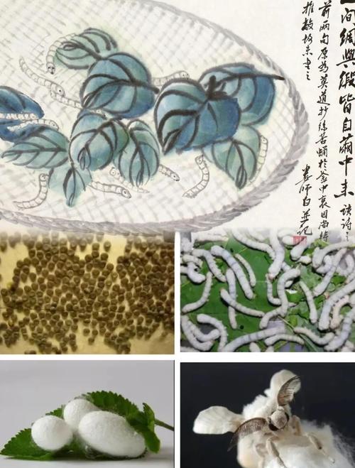 产品图4