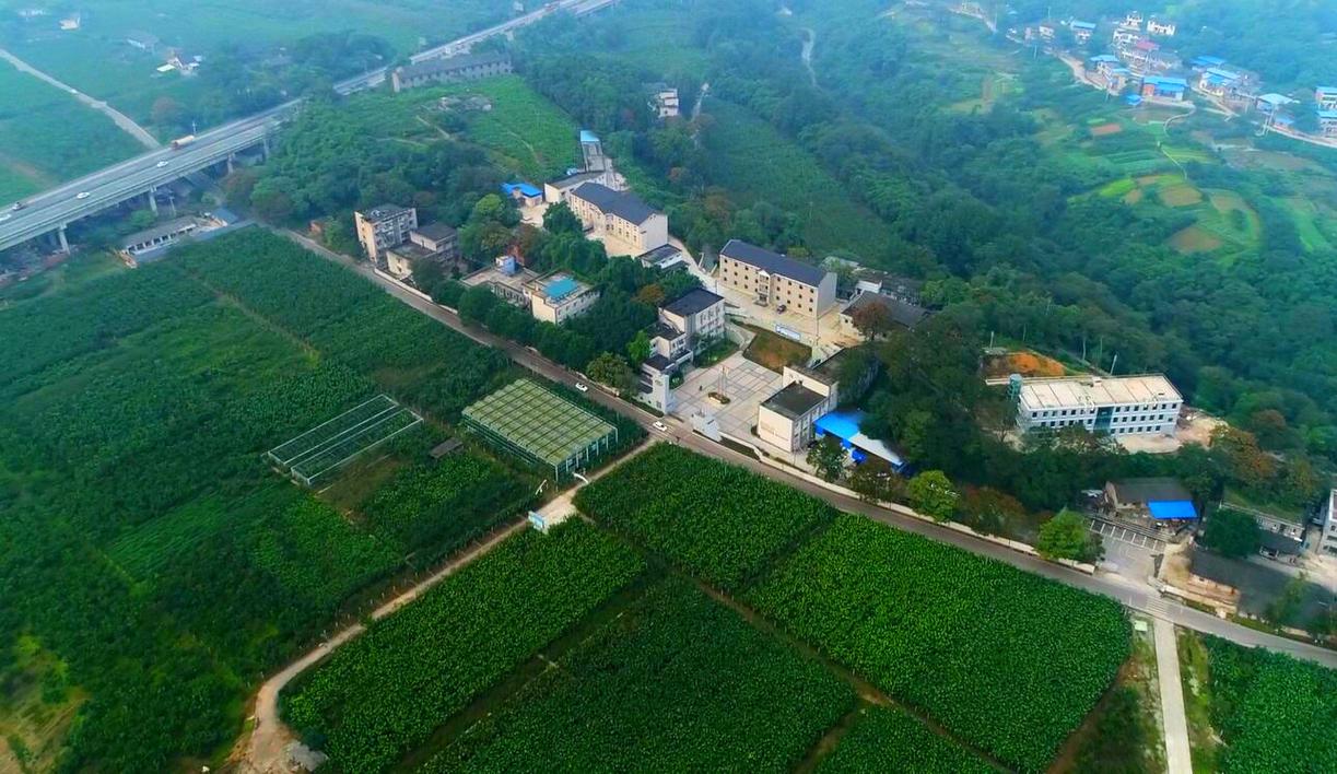 重庆市蚕业科学技术研究院